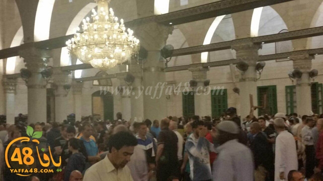 a7bab aqsaka (17).JPG